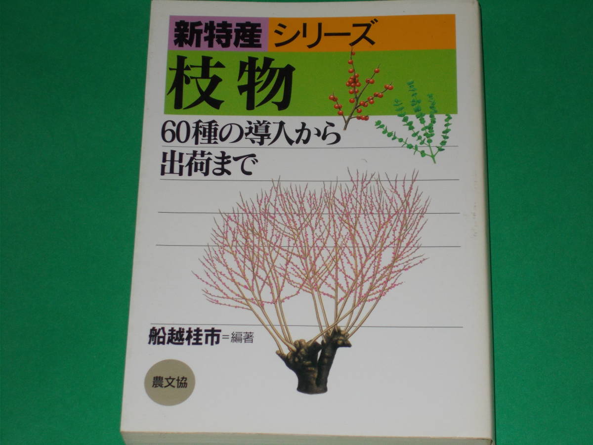 新特産 シリーズ 枝物★60種の導入から出荷まで★船越 桂市 (編著)★社団法人 農山漁村文化協会★農文協★絶版_画像1