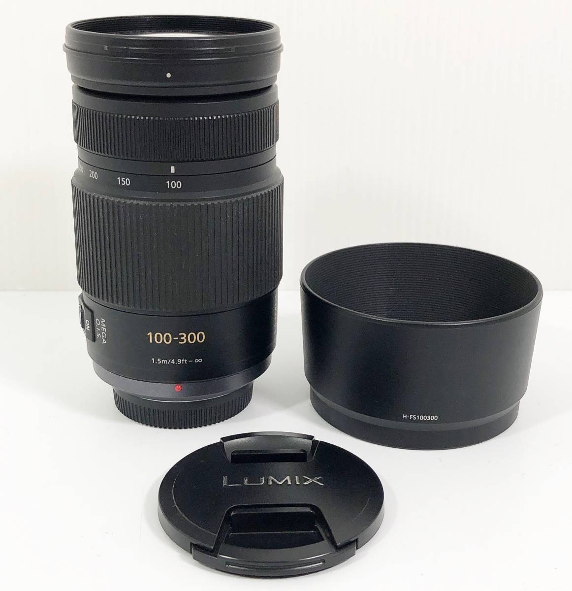 ◇Panasonic LUMIX G VARIO 100-300mm F4-5.6 MEGA O.I.S. H-FS100300