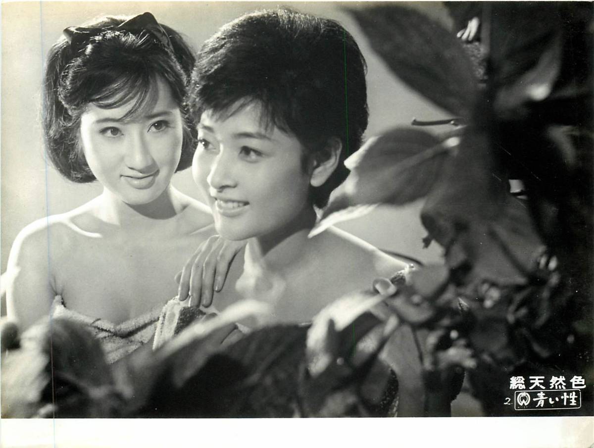 ヤフオク P 青い性 スチル 高田美和 加藤治子 霧立 ヤフオク P 青い性 スチル 高田美和 加藤治子 霧立