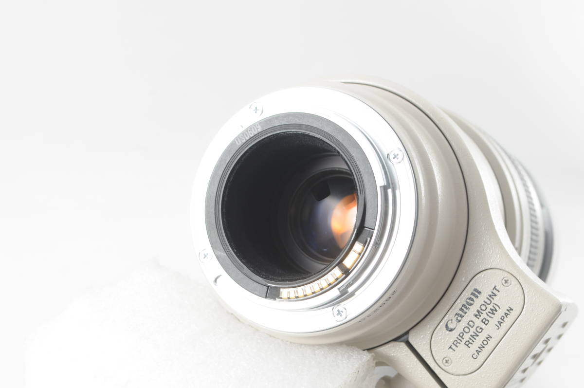□超美品□ Canon キヤノン EF 100-400mm F4.5-5.6 L IS USM ☆清潔感