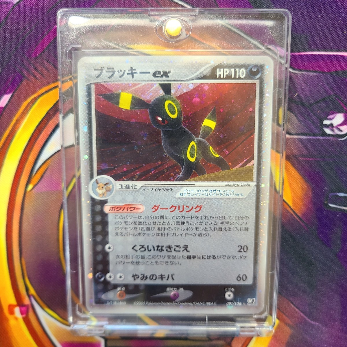 予約販売 【希少】ポケモンカード 金の空銀の海 ブラッキーex 1Edition