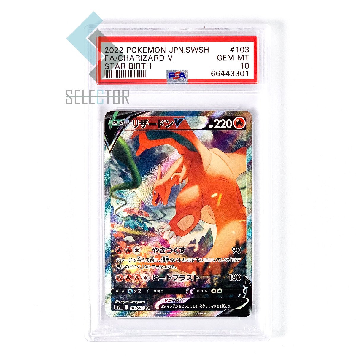 PSA10 リザードンV SA 103 2022 SWSH | auriol-sa.com