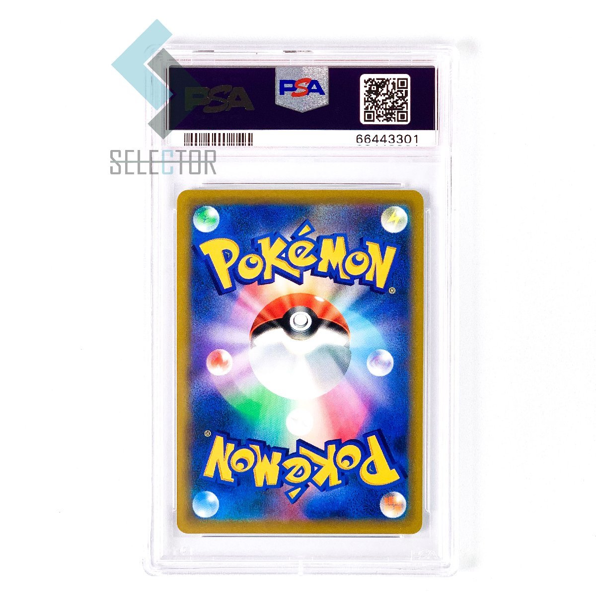 PSA10 リザードンV SA 103 2022 SWSH | auriol-sa.com