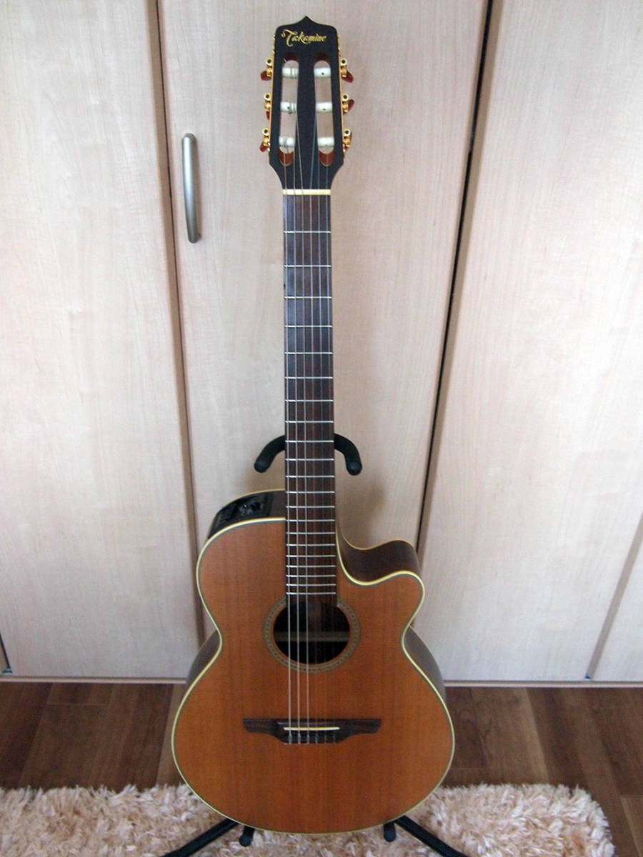 楽天カード分割】 タカミネ Takamine エレガットNPT-110BN