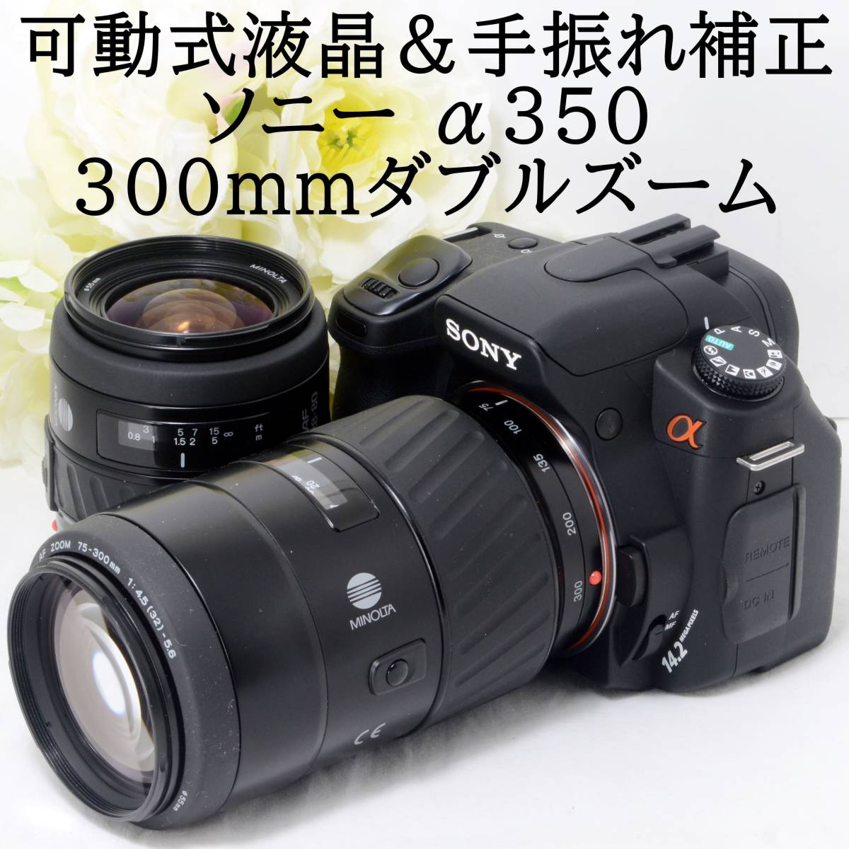 ☆可動式液晶&手振れ補正☆SONY ソニー α350 AF 28-80 75-300 超望遠