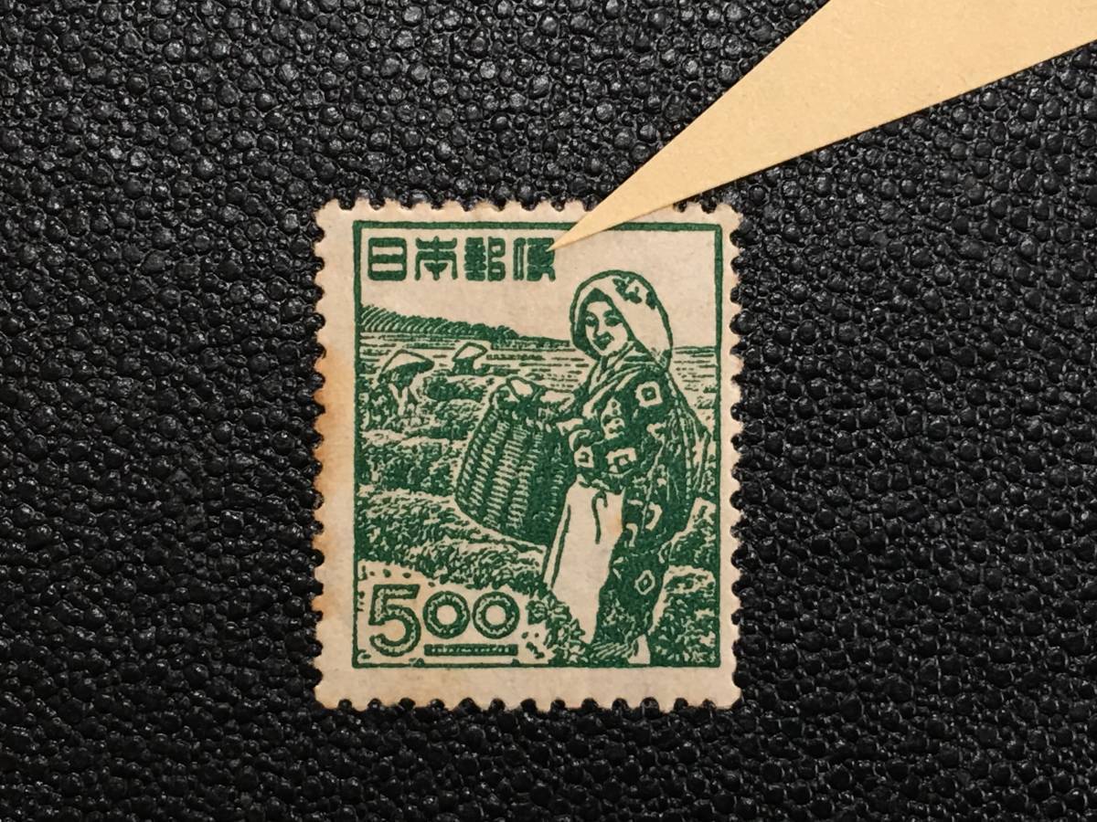 5604希少 エラー切手 定常変種切手 未使用切手 戦後切手 普通切手 美人