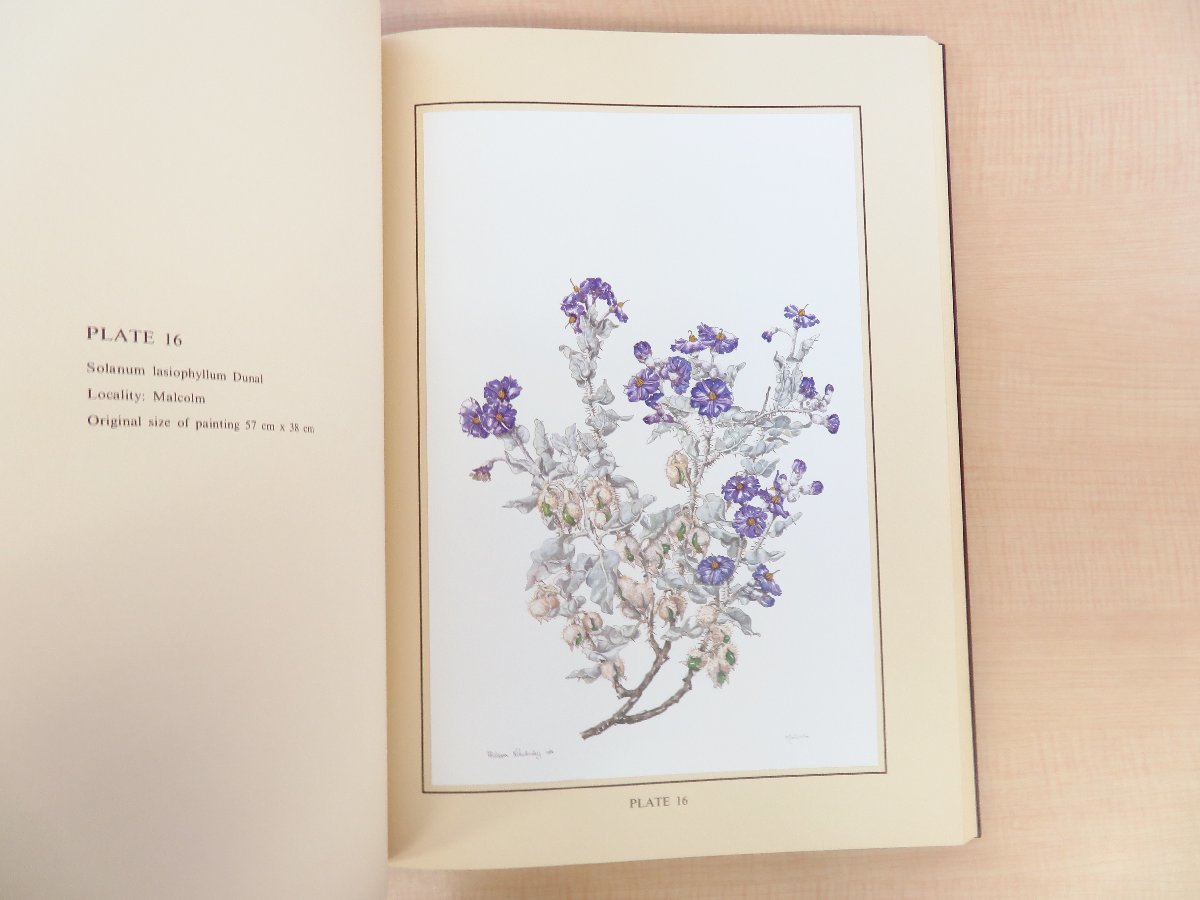 あすつく】 the of Plants Nikulinsky『Flowering Philippa 植物画集