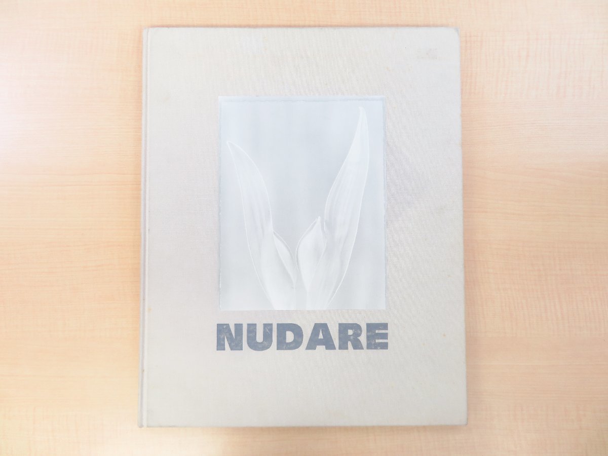 Ron van Dongen『Nudare』限定2000部 2001年Nazraeli Press刊（アリゾナ）ロン・ヴァン・ドンゲン写真集_画像1