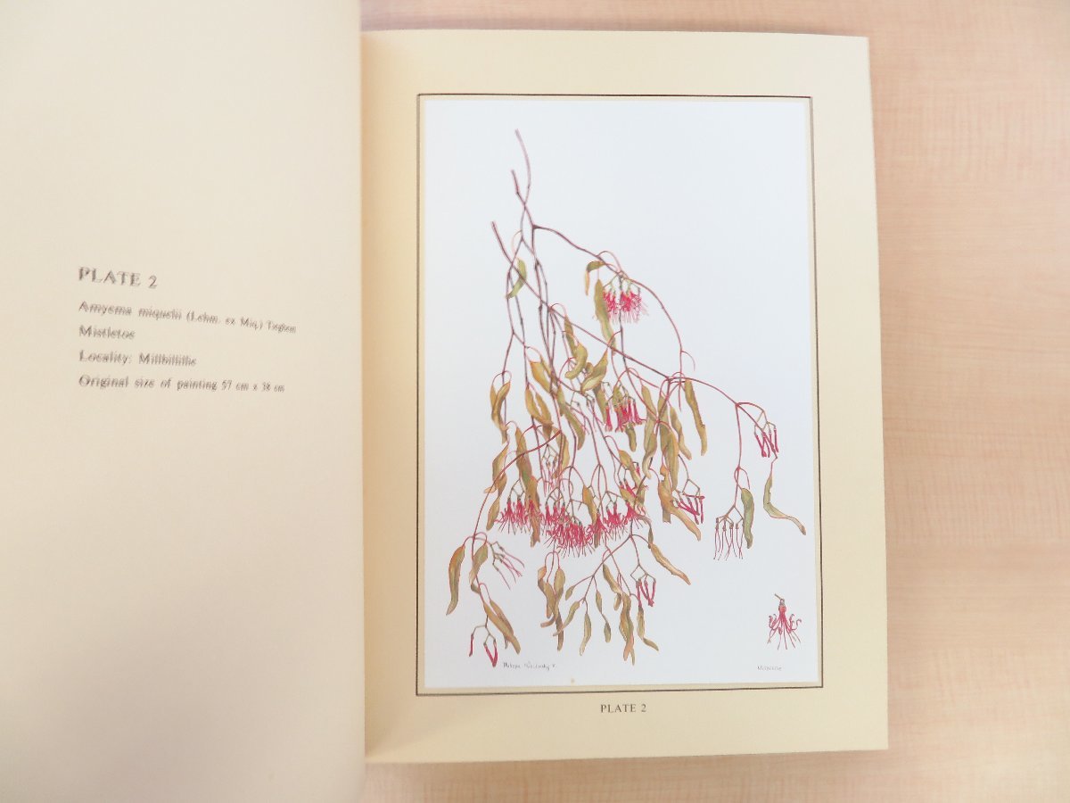 植物画集 Philippa Nikulinsky『Flowering Plants of the 植物画集 Philippa Nikulinsky『Flowering Plants of the