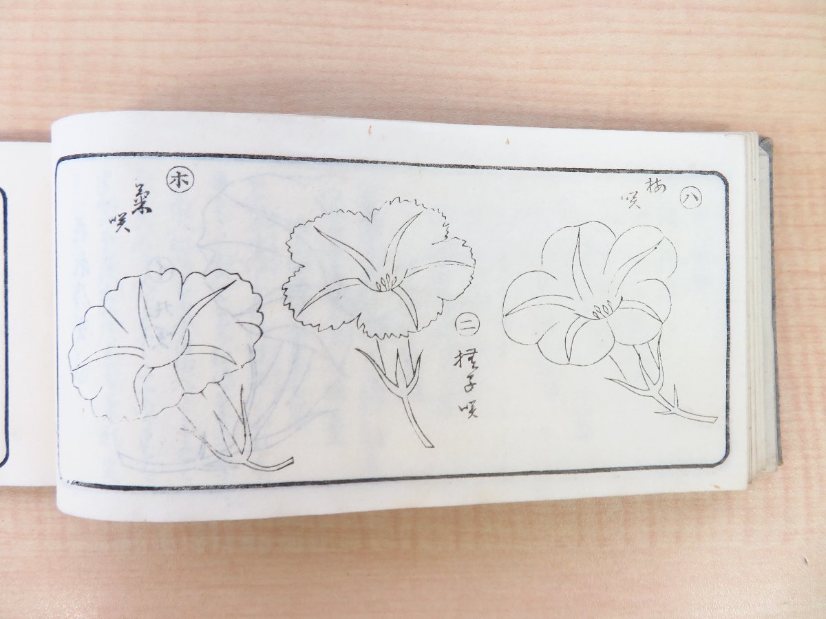大人気新品 秋水茶寮痩菊撰 伊沢蘭軒序 濃淡斎洞水画『牽牛花 和書