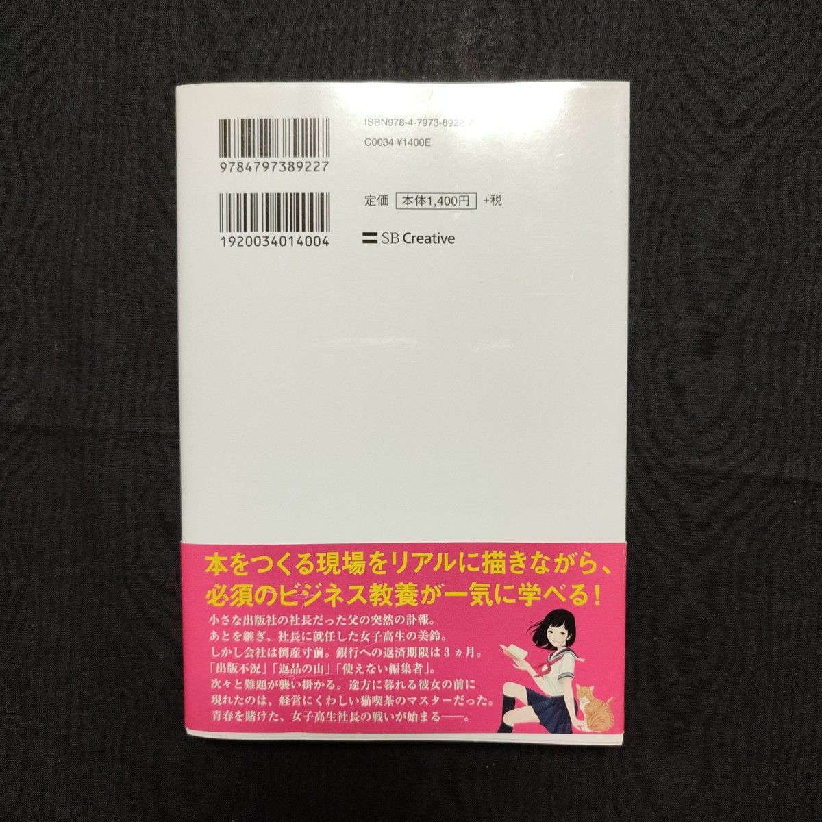 女子高生社長、ファイナンスを学ぶ　がけっぷち経営奮闘記 石野雄一／著