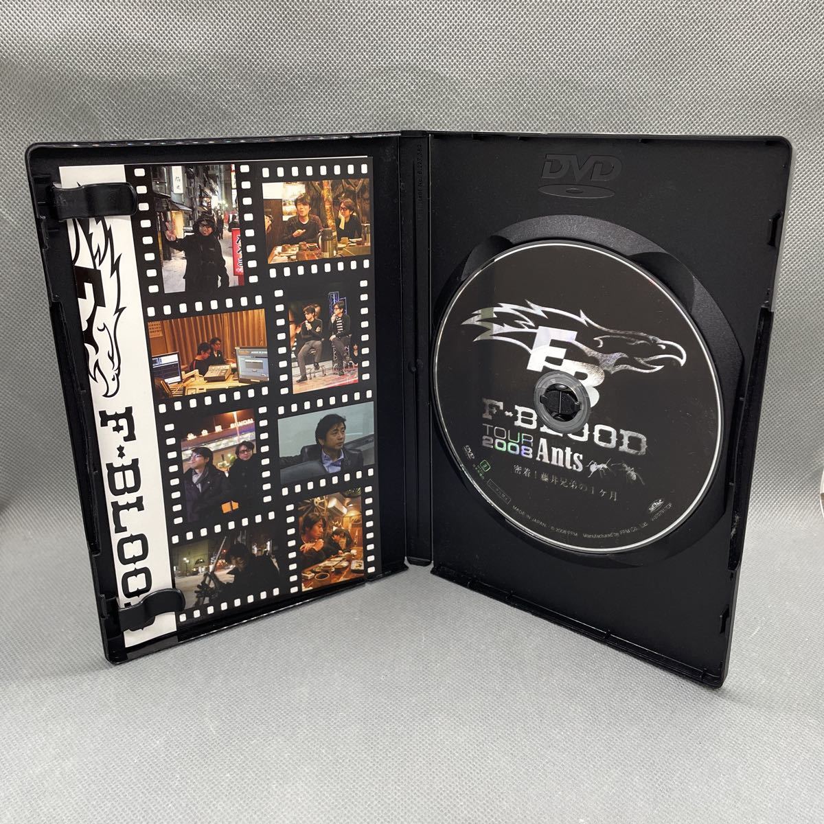 1円スタート】 F-BLOOD TOUR 2008 Ants DVD 密着！藤井兄弟の1ヶ月 