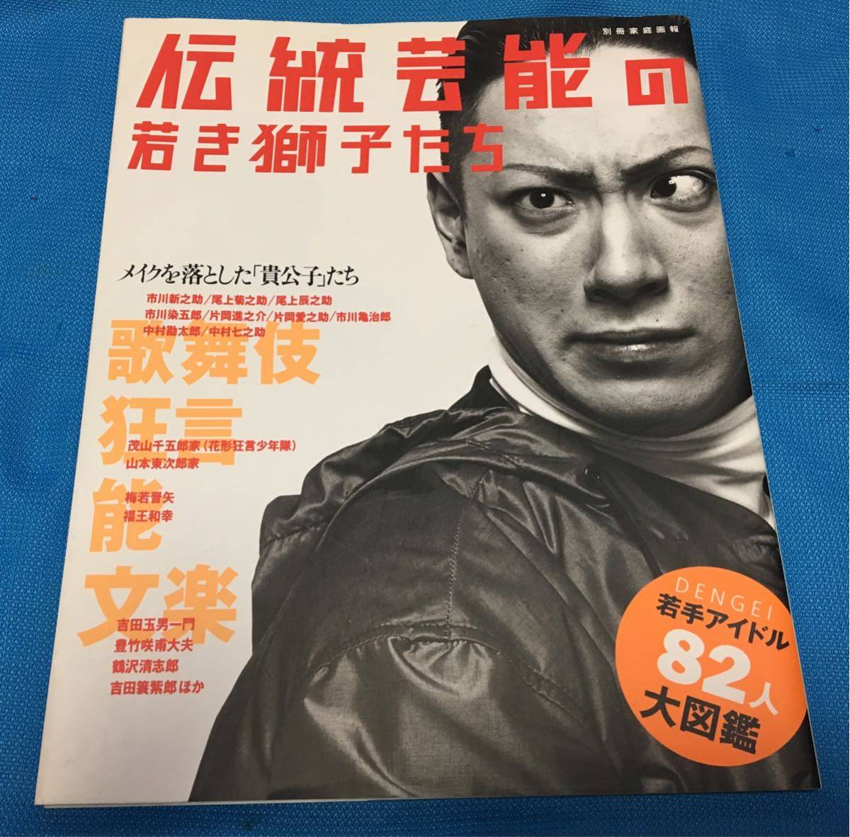 伝統芸能の若き獅子たち 若手アイドル８２人大図鑑 別冊家庭画報_画像1