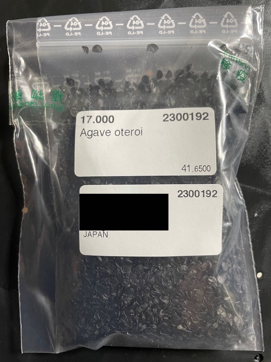 メキシコ産 アガベ オテロイ 種 Agave oteroi 1000粒｜PayPayフリマ