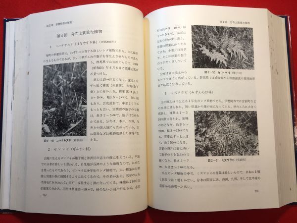 市史「伊勢崎市史 自然編」’84年刊 編集・発行：伊勢崎市 しおり付 分布上貴重な植物：コハナヤスリ ミズワラビ イノデ バイカモ他_画像8