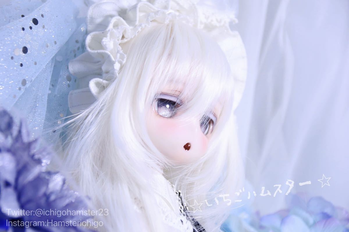 ☆Ichigoハムスター☆ DDH-29カスタムヘッド 開口 sw セミホワイト