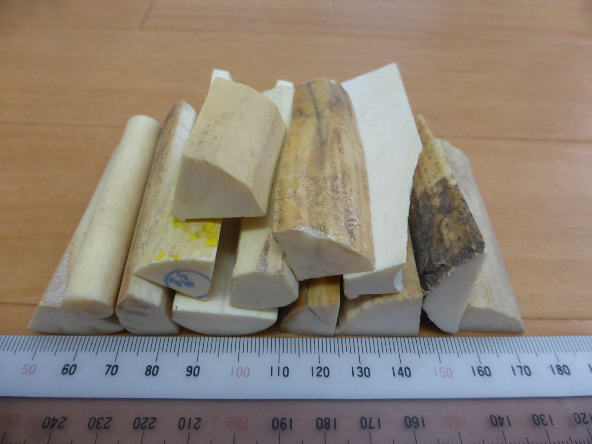 スーパーSALE!売切り!☆□カバ牙 カット落ち(大~大大)1,130g!柄