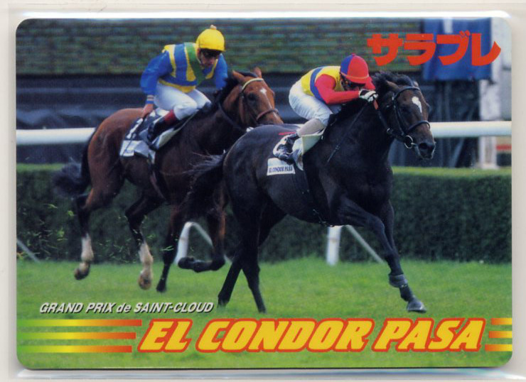 * L Condor pasa- magazine Sara blur Special made card not for sale . place .. name regular . sun Crew large .....2 put on .. horse photograph image horse racing card prompt decision 