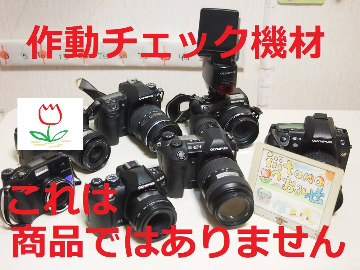 ◆カメラ1225◆ コンパクトフラッシュ Professional（CFカード）1GB　133倍速（作動OK） Lexar レキサー Used ～iiitomo～_画像7