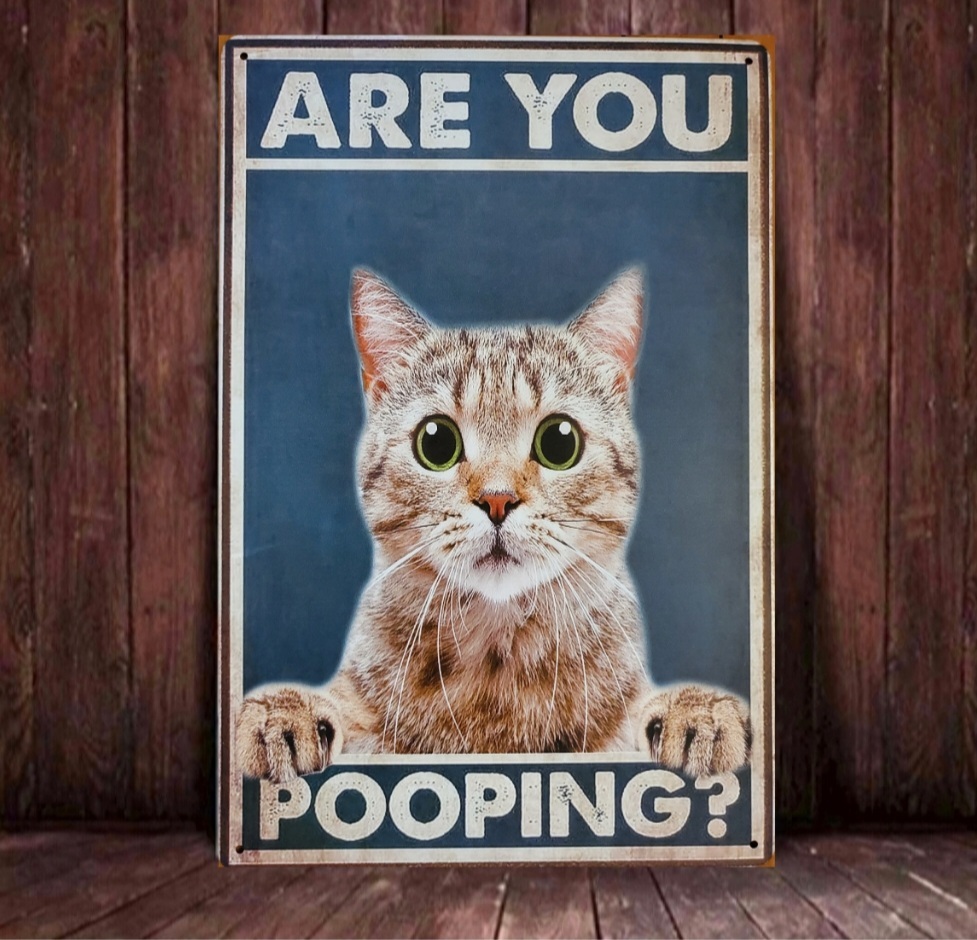 ブリキ看板 HANAKO レトロ 猫の看板 P11 茶トラ トイレ中 ウンコ中 猫のトイレ ウェルカムボード｜PayPayフリマ