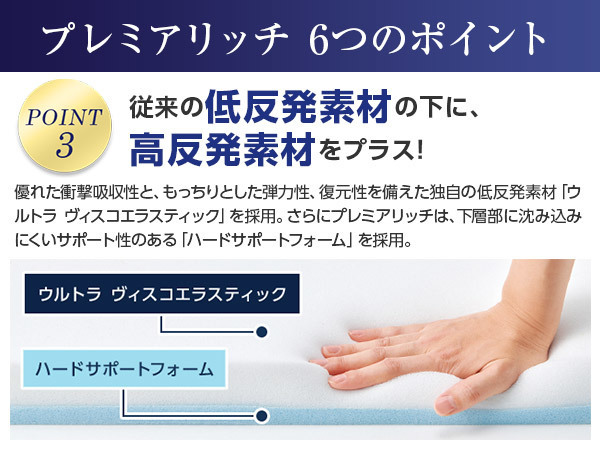 限定アイボリーカバー付!】『トゥルースリーパープレミアリッチ