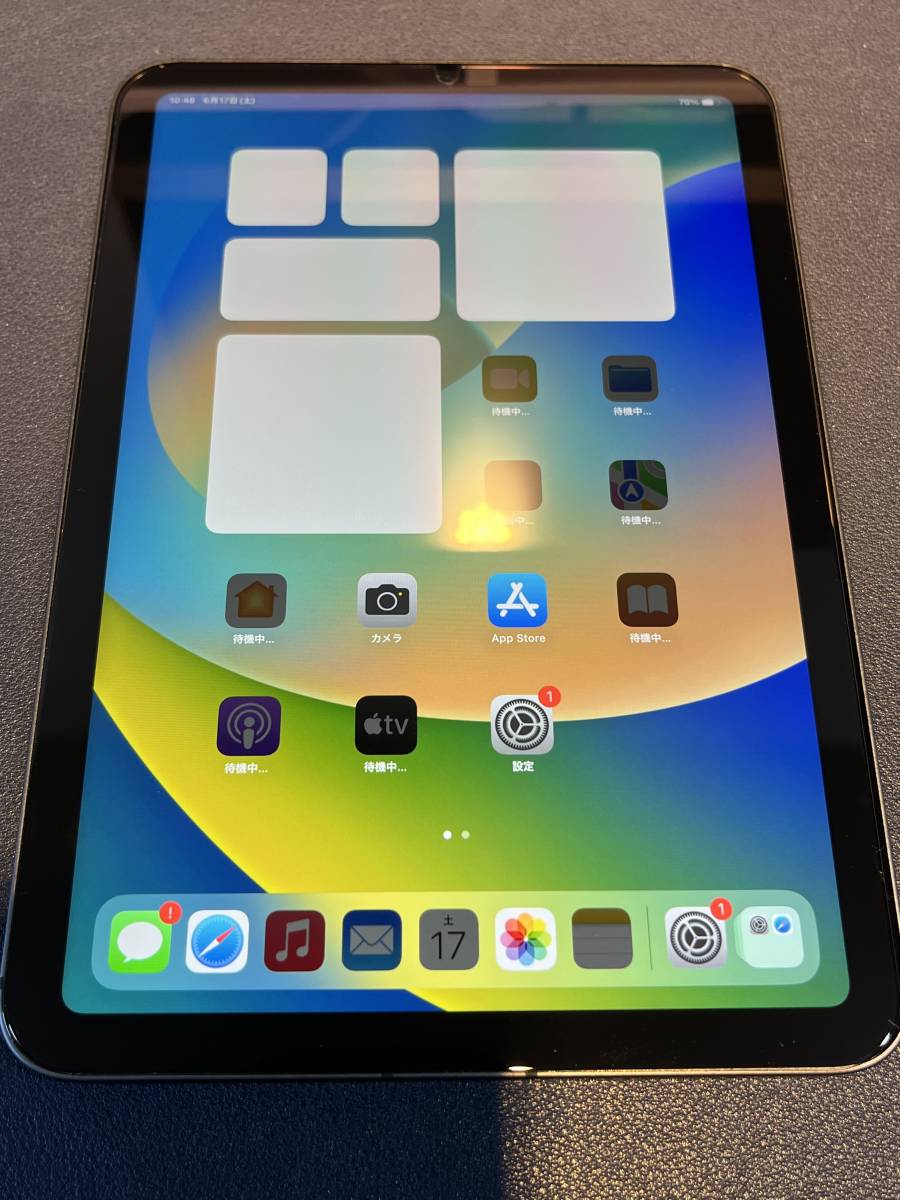 iPad mini 第6世代 256GB Wi-fi + cellular (SIMフリー) 超美品 | top