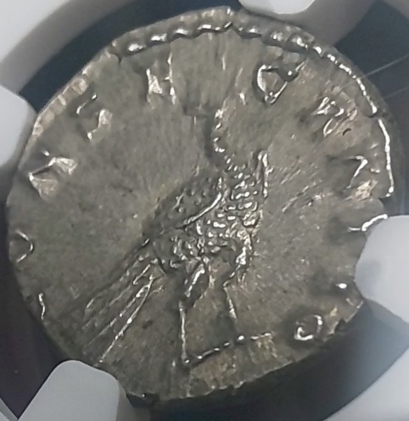 【Ch AU 5/5 5/5】ファウスティナ ジュニア マルクス・アウレリウスの妻 デナリウス 銀貨 人気 NGC 古代コイン 資産保全の画像7