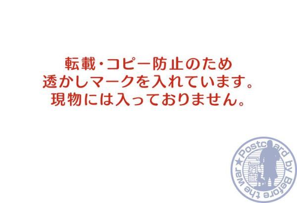 0791 北海道（北海道公園大沼の勝景）東宮殿下御野立所【戦前絵葉書】_画像3