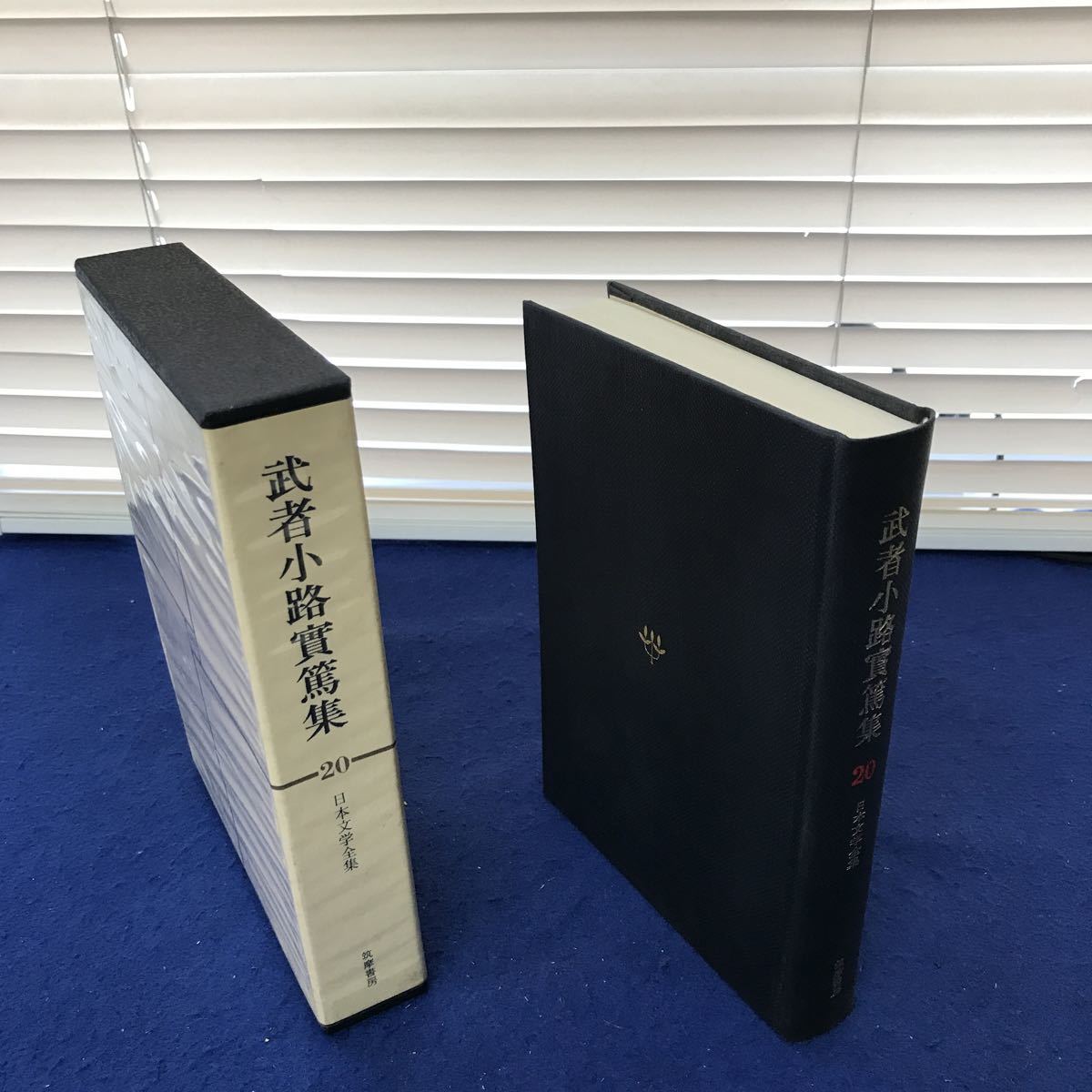 I13-033 день текст . полное собрание сочинений 20 Mushakoji Saneatsu сборник .. книжный магазин 