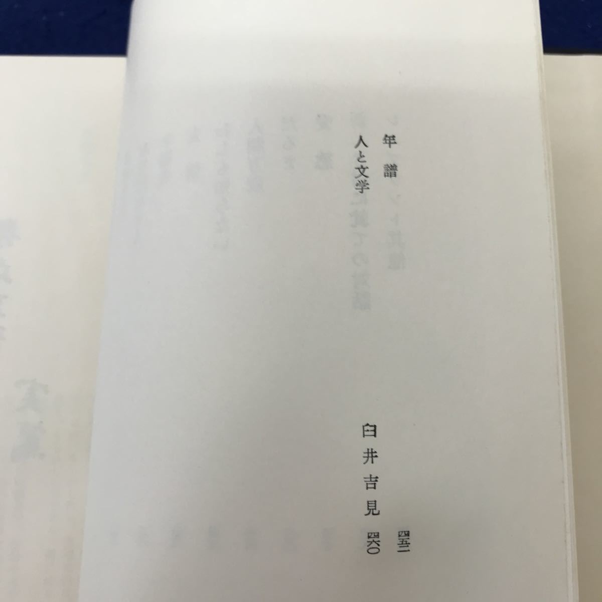 I13-033 день текст . полное собрание сочинений 20 Mushakoji Saneatsu сборник .. книжный магазин 