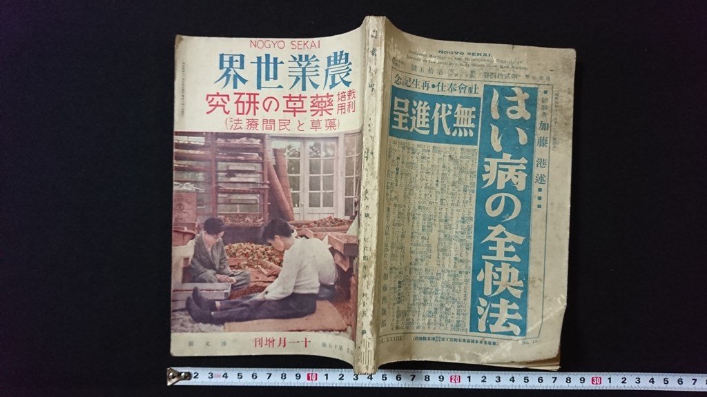 ｖ◇ 戦前書籍 農業世界 昭和4年11月増刊 博文館 栽培利用 薬草の研究（薬草と民間療法）古書/N01の画像1