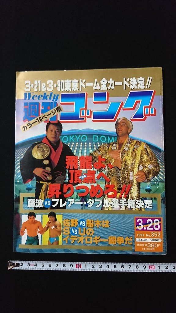 ｖ◇　週刊ゴング　1991年3月28日号　日本スポーツ出版社　飛龍よ、頂点へ昇りつめろ　古書/N02_画像1