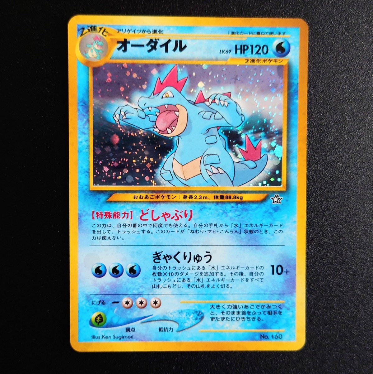 ポケモンカード 旧裏面 プレミアムファイル 9枚【旧裏/ネオ/neo ポケモンカード 旧裏面 プレミアムファイル 9枚【旧裏/ネオ/neo