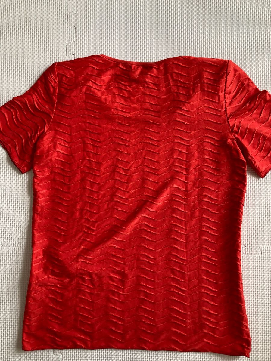 ARMAN COLLEZIONIアルマーニコレツィオーニ/朱色の半袖Tシャツ/38サイズ