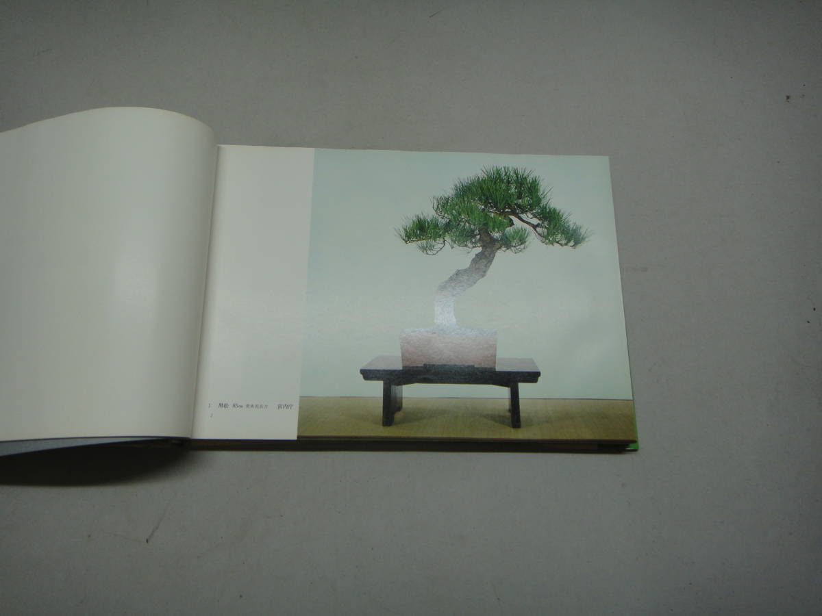 taD-27 no. 47 times country manner bonsai exhibition memory .S48 Japan bonsai association 