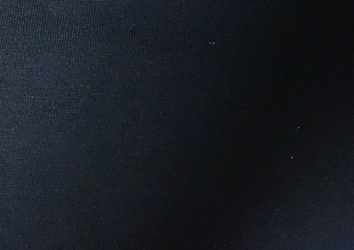 2016 インパクト タワレコ×VANS『MEX SKULL』Tシャツ 丸首 半袖 NAVY 前後プリント 左袖パッチ L・身幅約52.6cm※未試着/未使用/タグ付き_所々に織りムラ・色ムラ・汚れなどあり