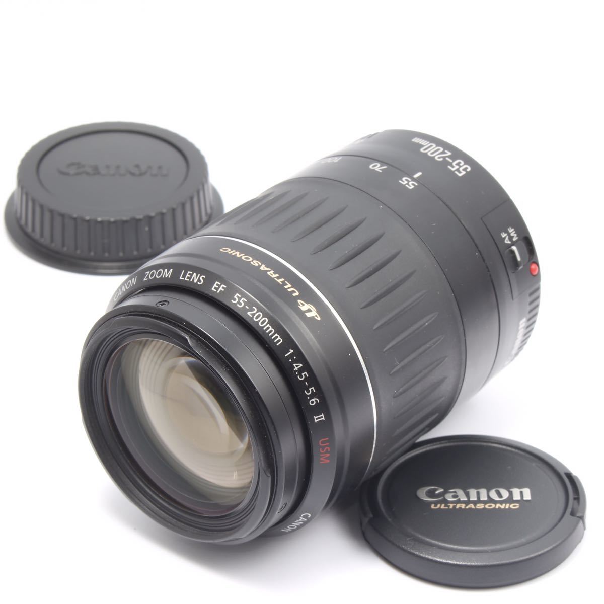 大迫力の望遠レンズ　キヤノン Canon EF 55-200mm（No.601）