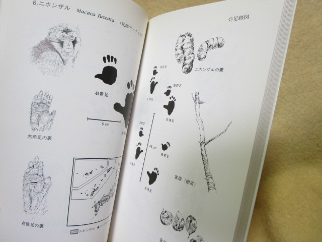 子安和弘『フィールドガイド　足跡図鑑』(1995年)足跡を付ける日本の哺乳類７８種を網羅　狩猟_画像5