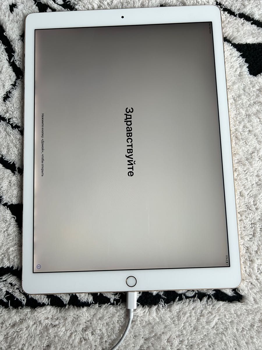 iPad Pro 12 9インチ 第2世代 simフリー 256gb ジャンク Yahoo!フリマ