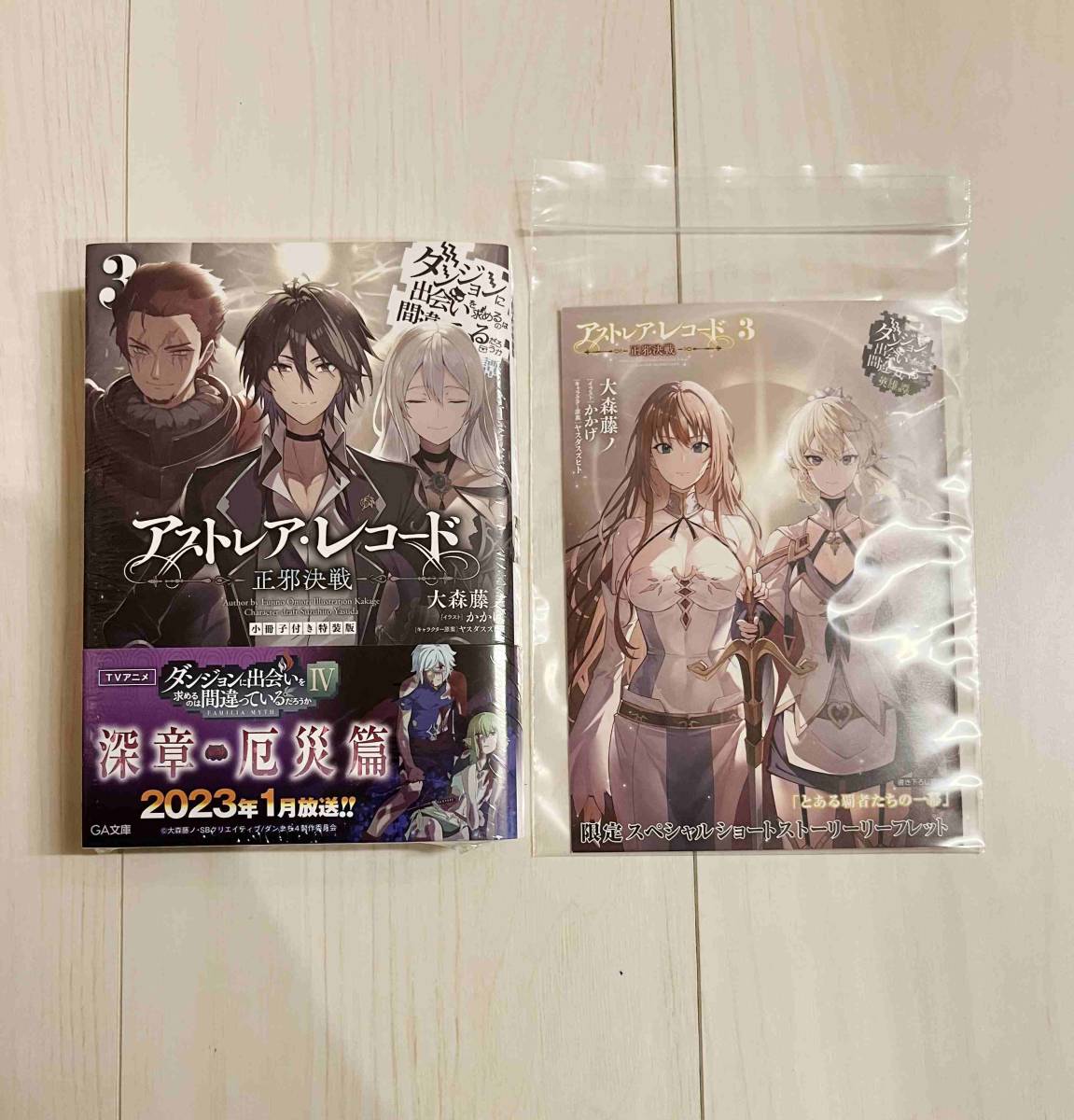 新品 アストレア・レコード3 正邪決戦 英雄譚 小冊子付き特装版 新品 アストレア・レコード3 正邪決戦 英雄譚 小冊子付き特装版