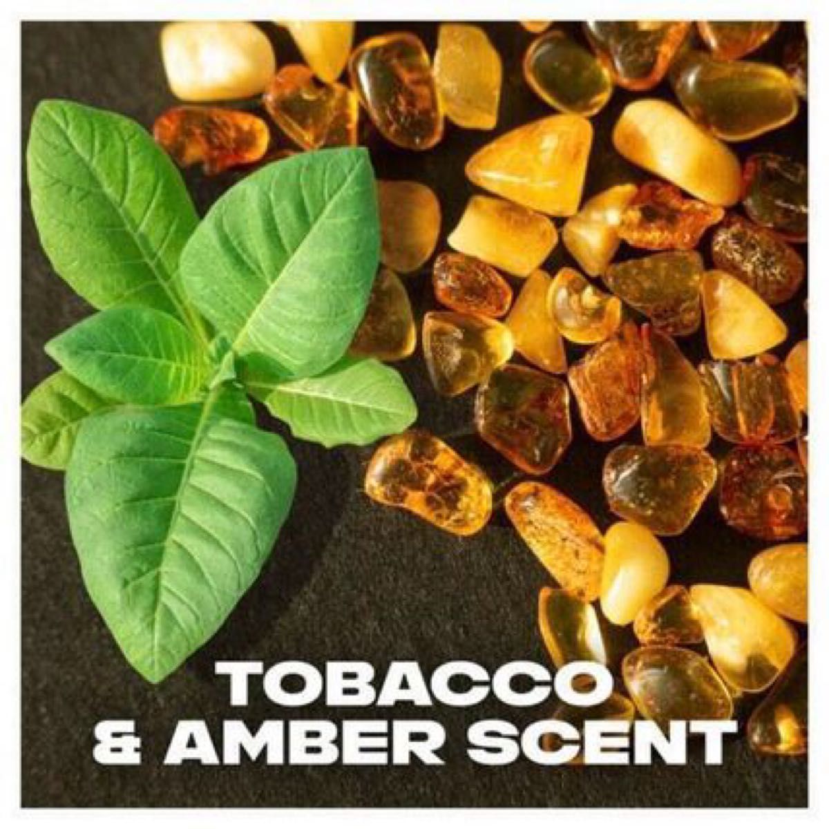LYNX Tobacco & Amber リンクス　メンズ 香水 フレグランス