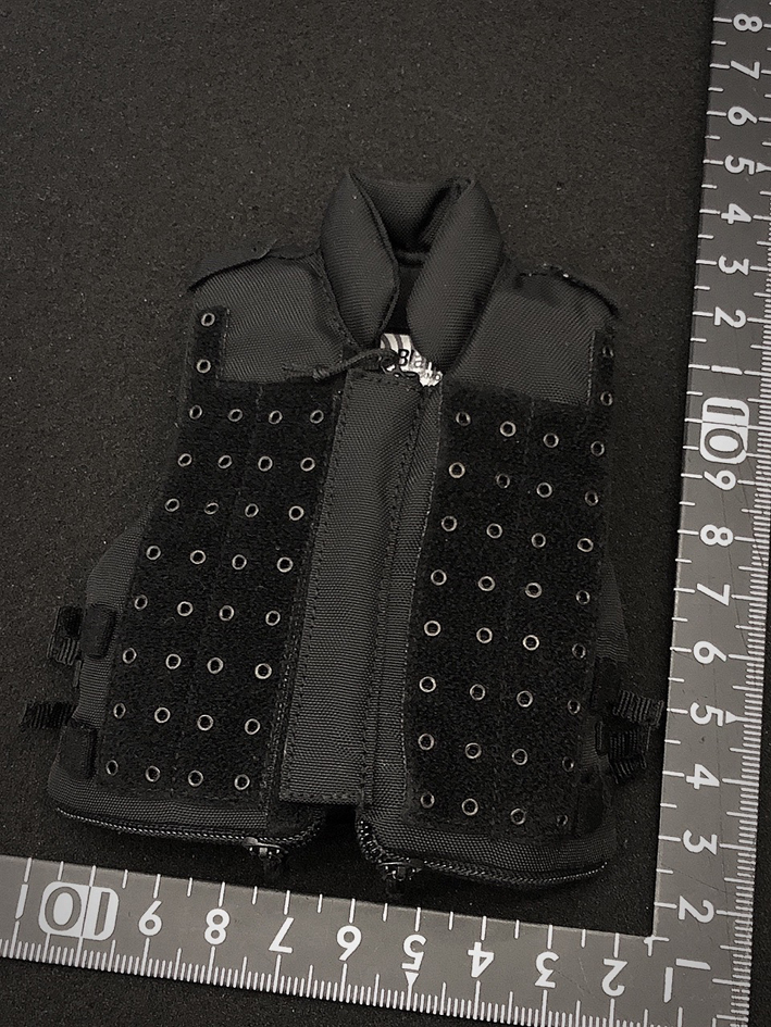  стоимость доставки 120 иен ) 1/6 HRM Tactical Vest DAMTOYS оборудование ( осмотр easy&simple DID VERYCOOL TBleague phicen фигурка 