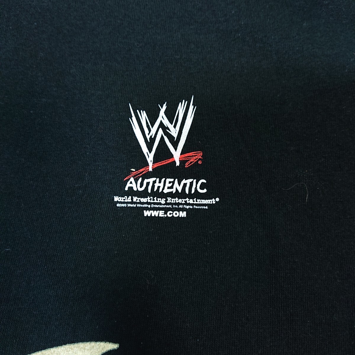 【美品】WWE World Wrestling Entertainment アメリカ プロレス イーグルプリント Tシャツ Lサイズ 黒 日本企画 american by birthの画像6