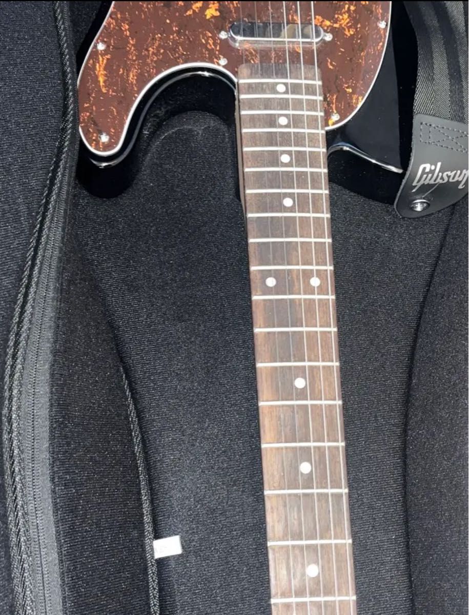 squier テレキャスター ギターケース付き | alfasaac.com