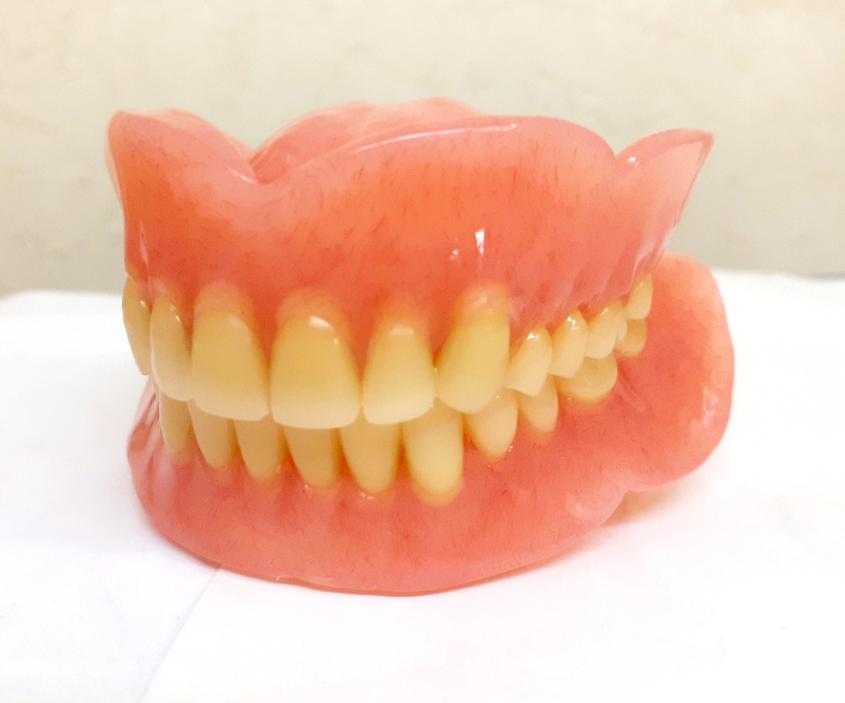 送料込み　上下総義歯　歯科 総義歯 サンプル 見本 入れ歯 フルデンチャー 歯科技工　自費　資料