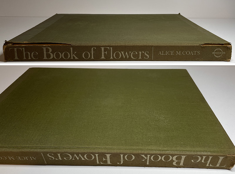 激安価格の M.Coats Alice Flowers of Book The 花 Illustration