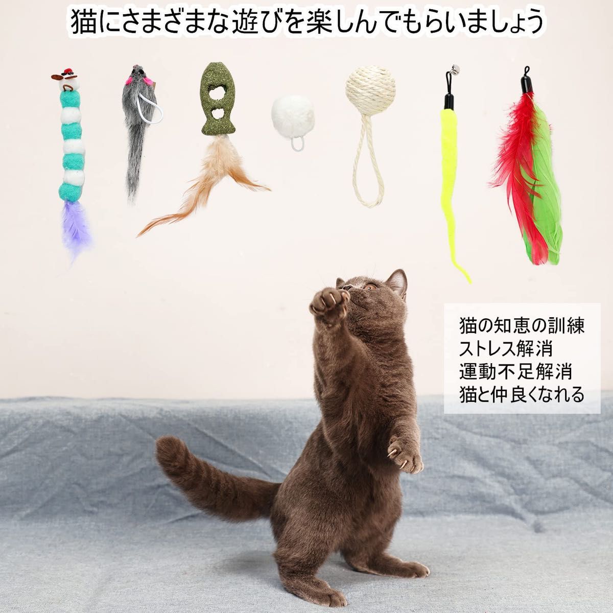 猫じゃらし ハンギングドア猫用おもちゃ9個セット 遊び方 鳥羽猫スティック猫マウスおもちゃと自動交換可能なおもちゃ 