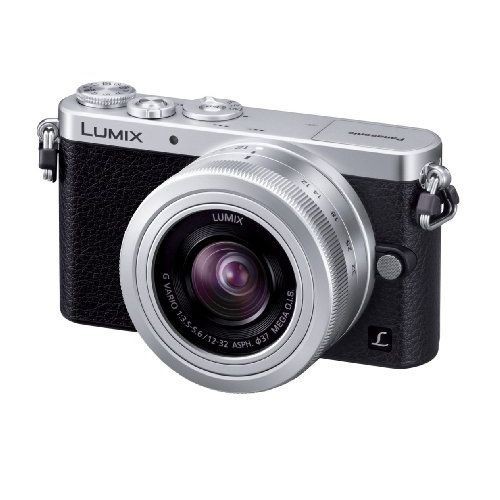 中古 １年保証 美品 Panasonic LUMIX DMC-GM1 標準レンズキット シルバー_画像1