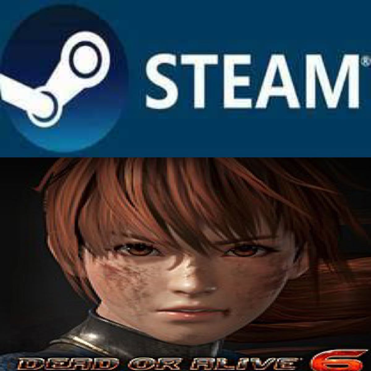 DEAD OR ALIVE 6 デッド オア アライブ 6 日本語対応 PC STEAMの画像1