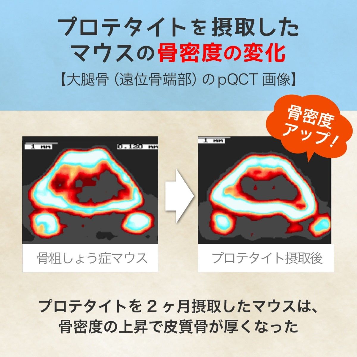 リピート割引あり エイチジンフレーム コラーゲン含有ミネラル複合体